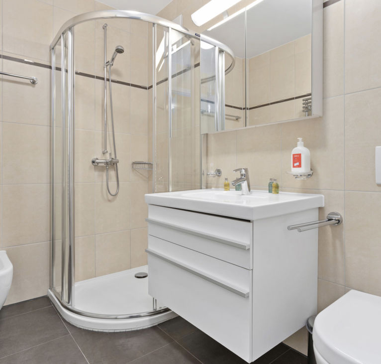 Bathroom fittings of Montreux LUX Apartments