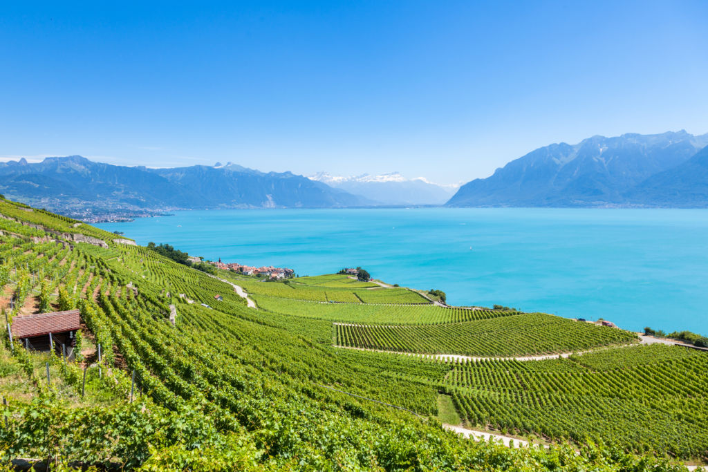 Montreux Lavaux vineyards and surrounding view of mountains
