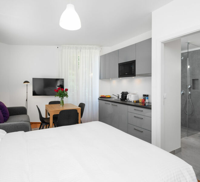 Interno di The Studios - Montreux by Swiss Hotel Apartments
