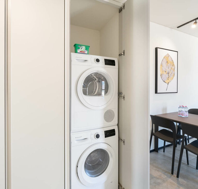 washing machine in the one bedroom apartment in Lugano Swiss Hotel Apartments